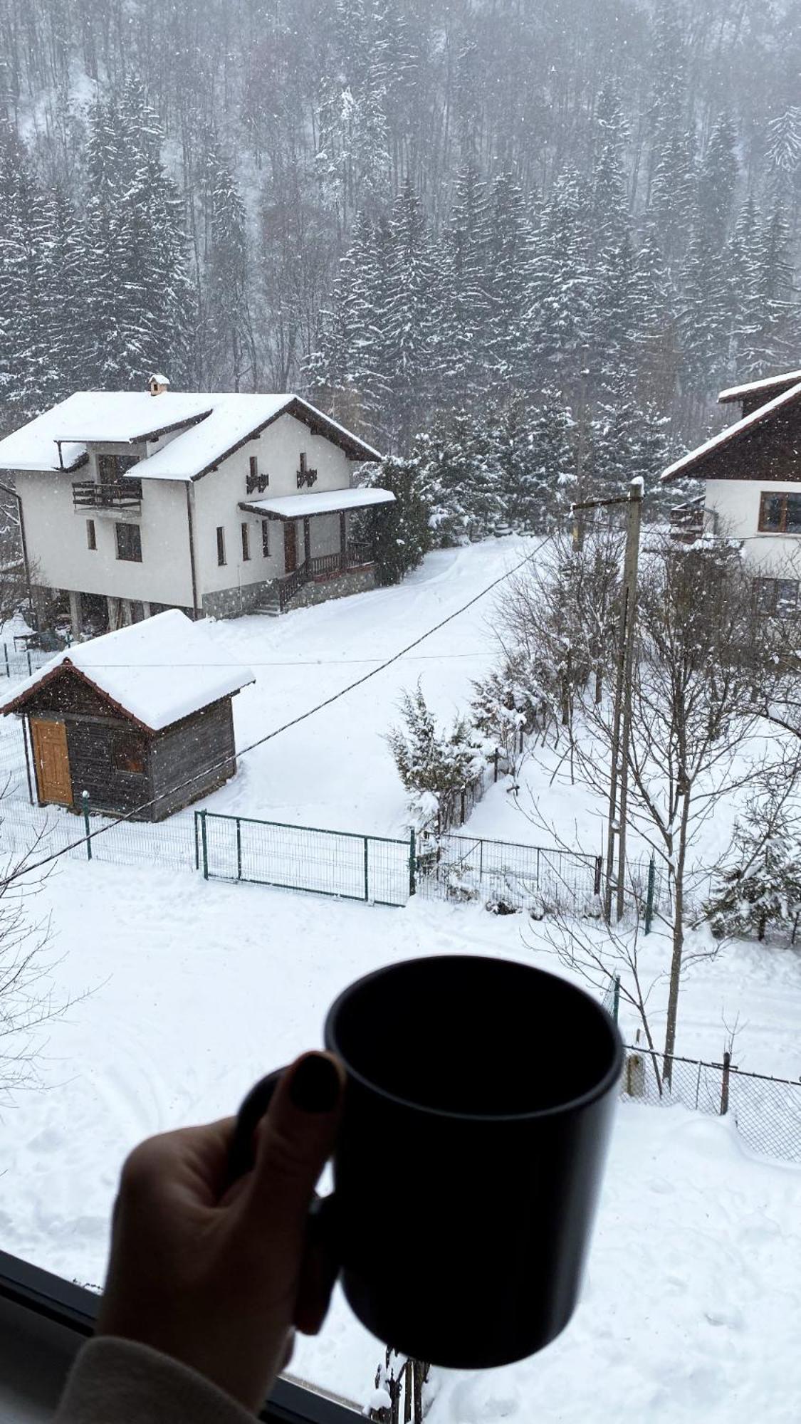 Queen'S Heart Guesthouse Bran  Buitenkant foto