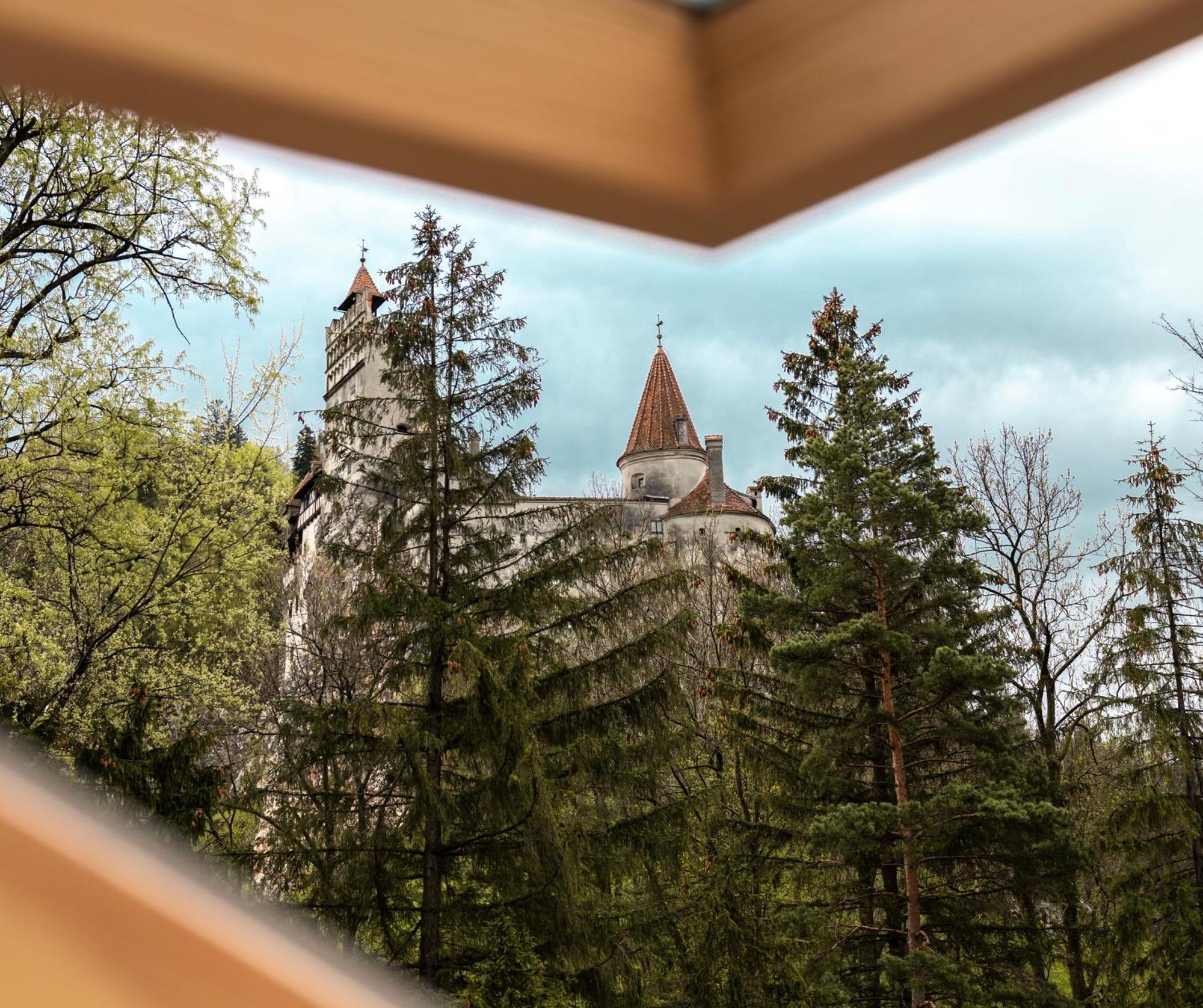 Queen'S Heart Guesthouse Bran  Buitenkant foto