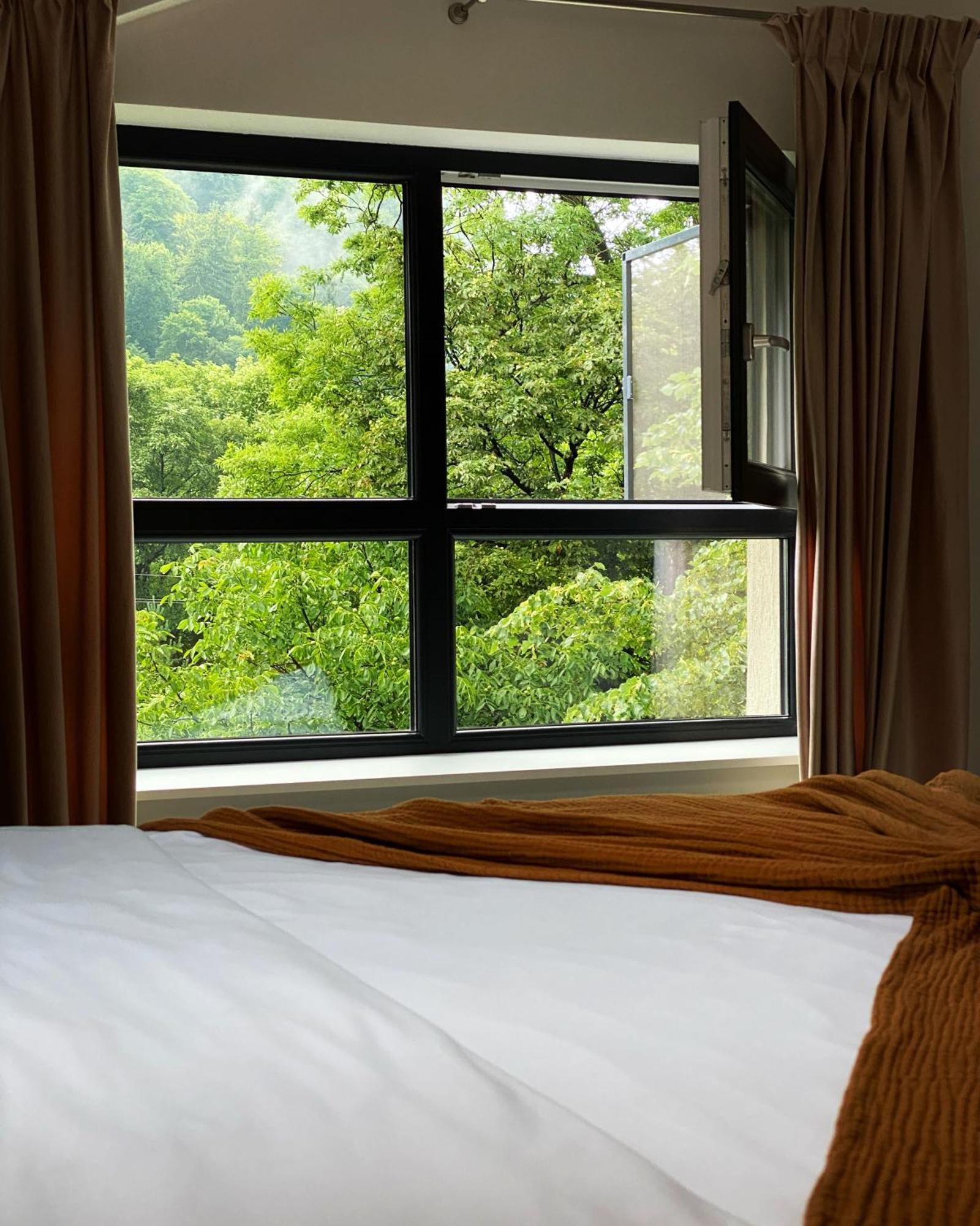 Queen'S Heart Guesthouse Bran  Buitenkant foto